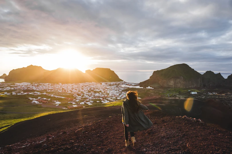 {title}